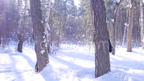 一对年轻可爱的夫妇正在冬天森林的树旁玩耍视频的预览图