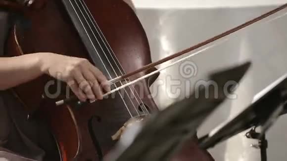 音乐四重奏在四重奏小提琴手中演奏大提琴的女孩快关门视频的预览图