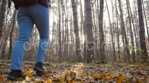概念冬季秋季旅游和徒步旅行秋林女子徒步视频的预览图