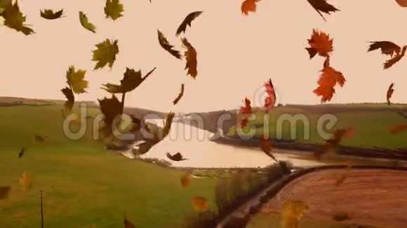 树叶落下视频的预览图