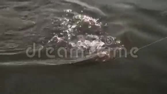 在水的背景上旋转棒视频的预览图