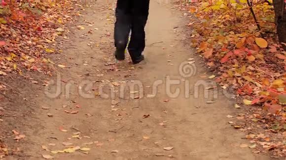 金发姑娘走在秋天的森林里视频的预览图