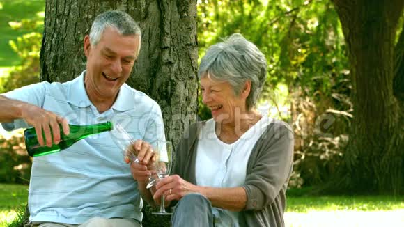 退休夫妇在公园里喝香槟视频的预览图