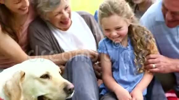 一家人和狗一起在公园里放松视频的预览图