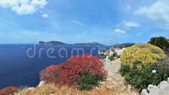 五颜六色的灌木风帽卡西亚湾意大利撒丁岛视频的预览图