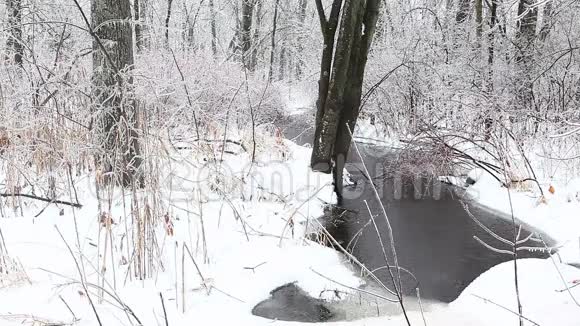 冬天的一条小溪下着冻雨视频的预览图