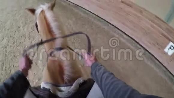 学习骑马课程骑手观点戈普罗视频的预览图