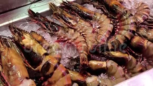 龙虾和海洋产品视频的预览图