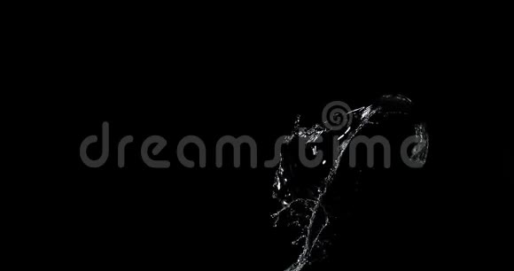 水在黑色背景下喷出慢动作视频的预览图