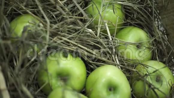干草里的绿苹果篮子里躺着苹果多汁的成熟苹果和梨铺在胸前收获胸部视频的预览图