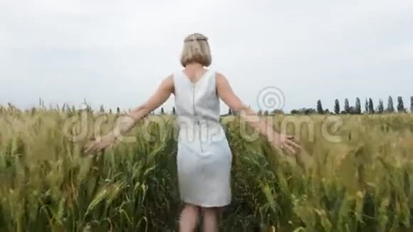 一个金发碧衣的女人带着小麦在田里散步视频的预览图