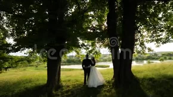这对夫妇在大自然的背景下拥抱在一棵树下视频的预览图