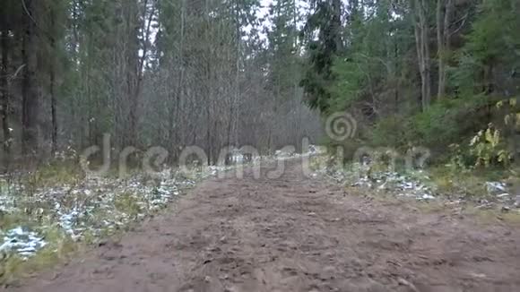 在森林里射杀冰冻的泥土视频的预览图