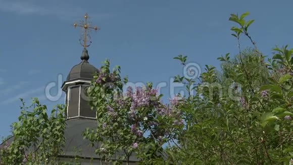 教堂的穹顶和天空背景上的紫丁香灌木视频的预览图