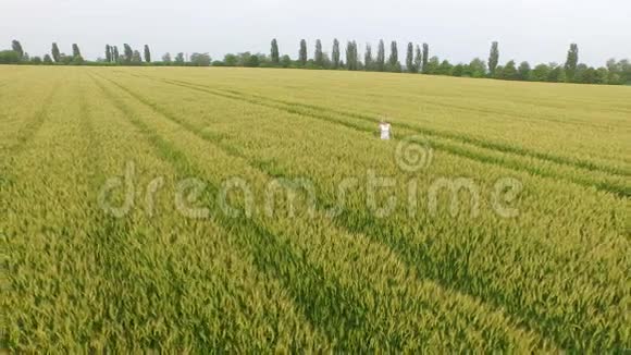 一个金发碧衣的女人带着小麦在田里散步视频的预览图