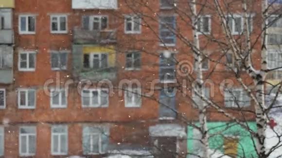 冬季美丽的降雪景观从窗口室外缓慢运动和变化集中在桦树背景1920x1080视频的预览图