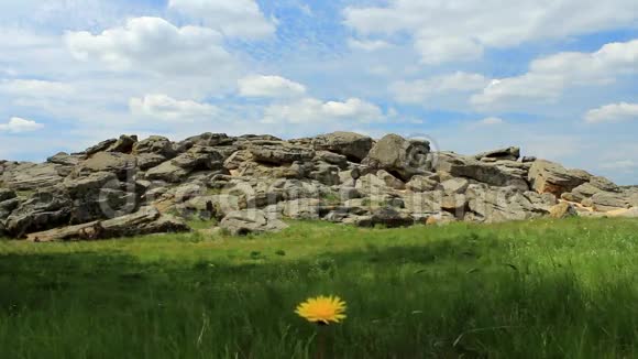 乌克兰草原上的石墓视频的预览图