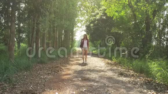 快乐的年轻亚洲女性旅行者带着背包在森林里散步徒步旅行者亚洲女人背着背包走在夏日森林的小路上视频的预览图