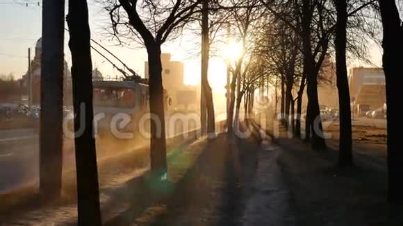 城市街道树木的日落长影视频的预览图