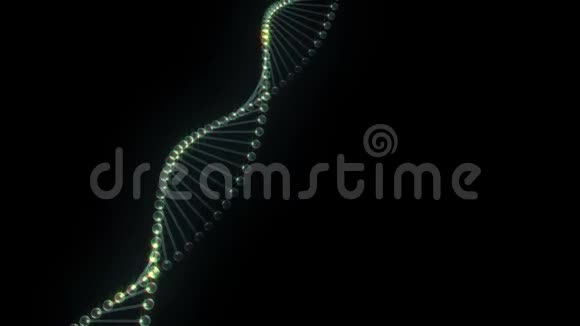在黑色背景上旋转DNA分子循环三维动画视频的预览图