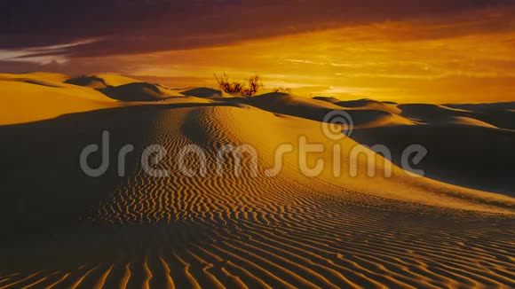 奇妙的撒哈拉沙漠景观日落时分的沙丘视频的预览图