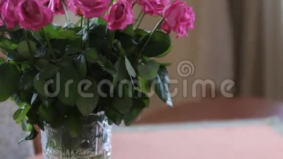 玫瑰花束旋转多色放大视频的预览图