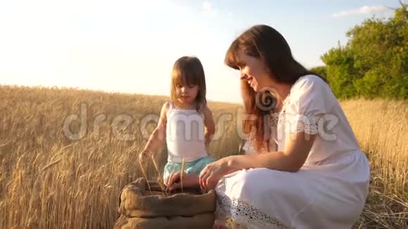 孩子手里的麦穗母亲和小孩正在麦田里玩袋子里的谷物开心快乐视频的预览图