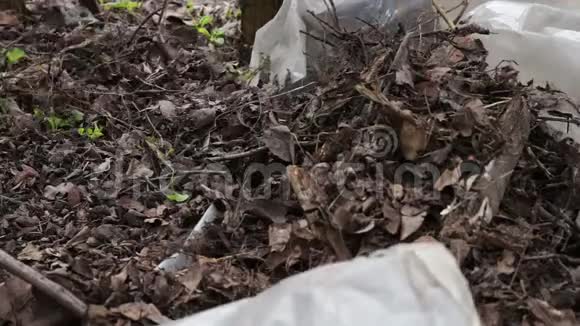 女人打扫花园里干燥的老叶子视频的预览图