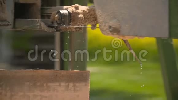 圆台锯在锯木厂切割木材视频的预览图