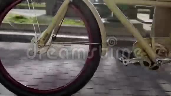 夏季傍晚人们对一辆移动自行车的壮举和踏板视频的预览图