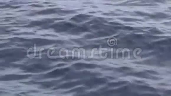 蓝色海水的涟漪表面娱乐假期阳光明媚波浪视频的预览图