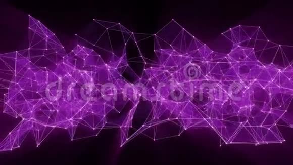 紫罗兰丛网络转换为霓虹灯西班牙文字的动画欢迎视频的预览图