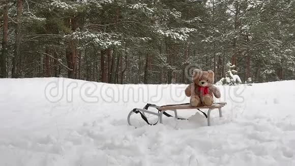 玩具熊躺在雪橇上视频的预览图