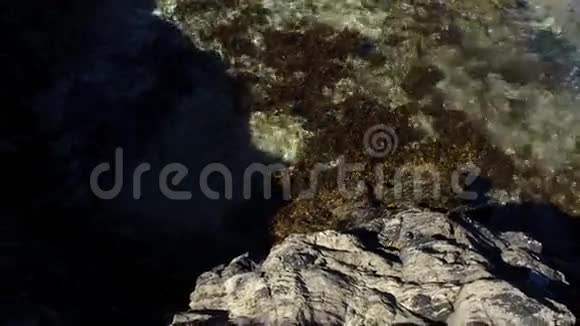 波浪与海藻在清澈的海水和负空间拍打岩石视频的预览图