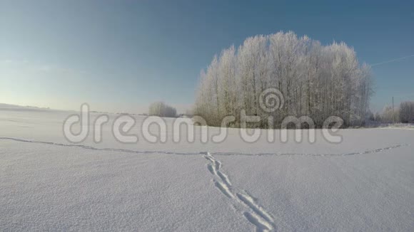 在阳光明媚的霜天雪上踏足时间流逝4K视频的预览图