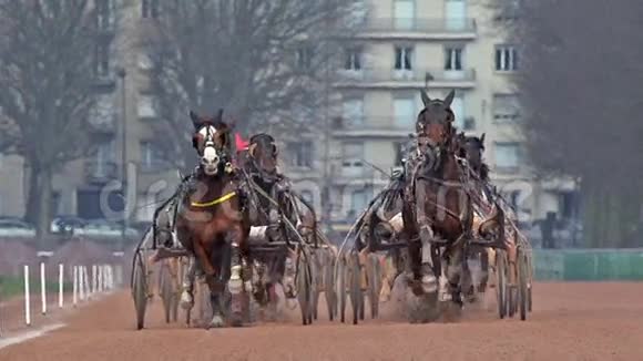 赛马法国旋转木马赛马场法国诺曼底视频的预览图