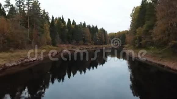 秋天美丽的森林和傍晚的河流视频的预览图