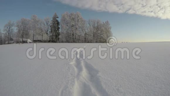 在阳光明媚的一天冬季中雪的脚迹时间流逝4K视频的预览图