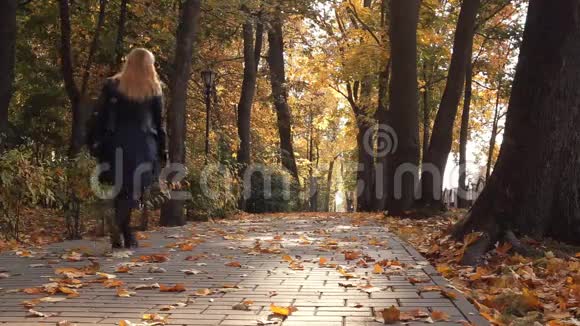 公园里的长凳秋天的白天光滑的娃娃射击视频的预览图
