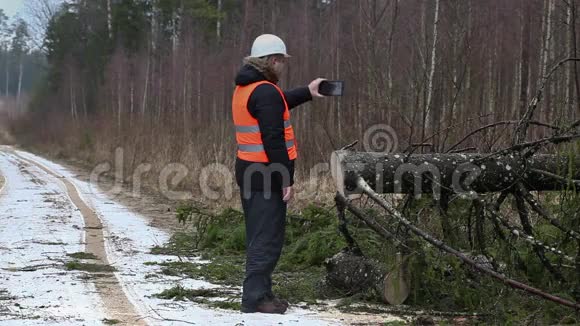 森林检查员在森林道路上拍摄云杉视频的预览图