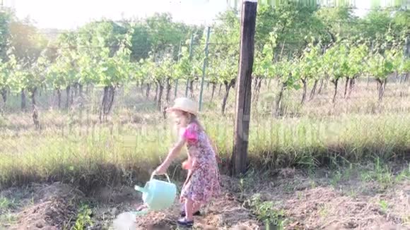 小女孩穿花裙和白帽子小女孩给花园浇水视频的预览图