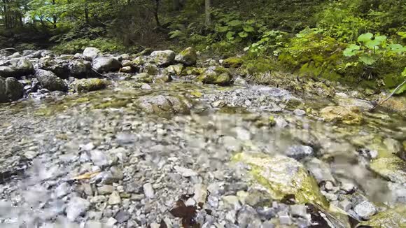 波兰Zakopane附近的国家公园DolinaBialego的水流视频的预览图