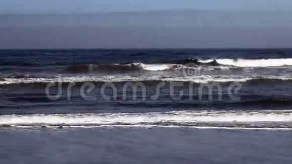海洋与鸟儿飞翔的日子视频的预览图