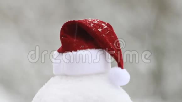 雪花落在圣诞老人的帽子上圣诞节视频的预览图