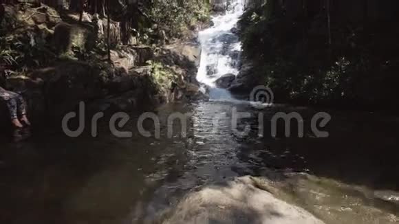 丛林景观与瀑布视频的预览图