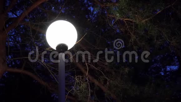 夜间路灯冬季天气降雪为背景视频的预览图