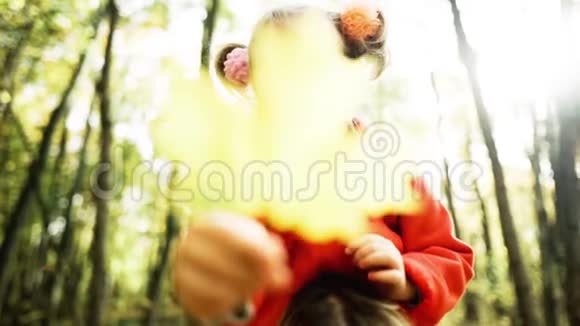 秋天公园的小女孩视频的预览图