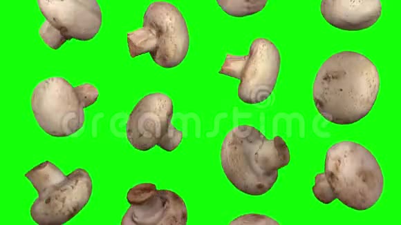 落在绿色背景下的白色蘑菇循环01A视频的预览图