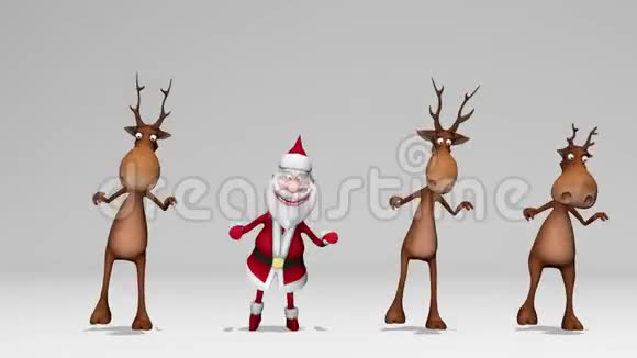 有趣的疯狂圣诞老人和德尔斯在跳舞圣诞节和新年的概念无缝环有阿尔法频道视频的预览图