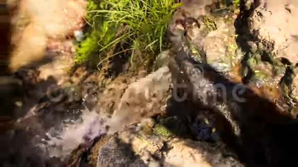 公园草地上的岩石中的小泡沫流视频的预览图